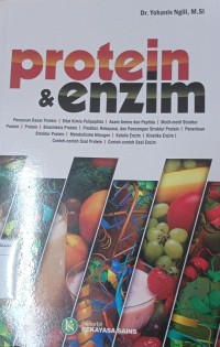 Protein & Enzim