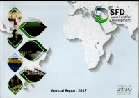 Annual Report 2017: Saudi Arabia