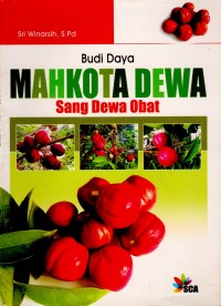 Budi Daya Mahkota Dewa Sang Dewa Obat