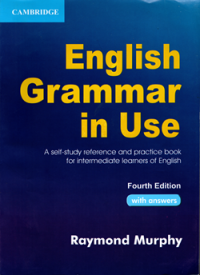 English Grammar in Use: A Self-Study Reference and Practice Book for Intermediate Learners of English (Fourth Edition)