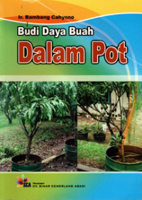 Budi Daya Buah dalam Pot