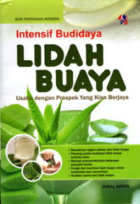 Intensif Budidaya Lidah Buaya: Usaha dengan prospek yang kian berjaya